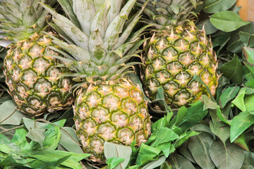 Three pineapples are on the foliage. Vegetarian food.