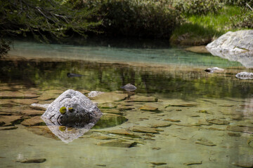 the monster of the Lagarot lake of Lourousa