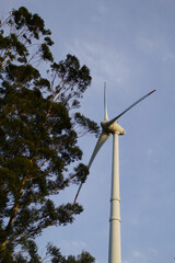 Fototapeta na wymiar Wind turbines in a wind farm in Brazil