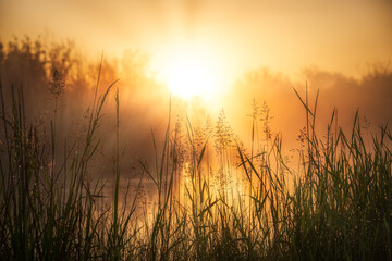 Fototapeta na wymiar Bright sunrise on the river. Nice quiet scene on river before sunrise