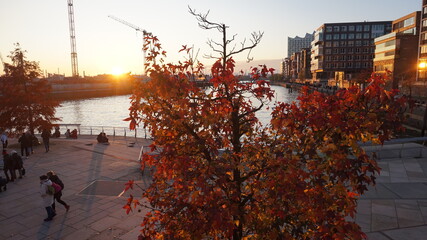 Sonnenuntergang an einem Herbsttag in der Hamburger Hafencity