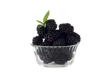 isolated glass bowl of blackberries with mint