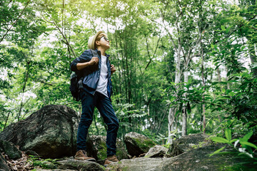 Naklejka na ściany i meble Traveler hike through forest to peak of mountain.