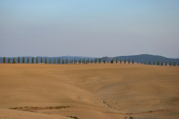 Evening in Val d’Orcia (Orcia Valley) in the South of Tuscany, Italy, autumn landscape, alley of pine trees on horizon, UNESCO World Heritage