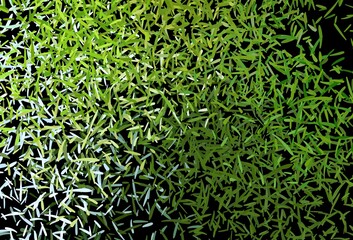 Dark Green, Yellow vector texture with colored lines.