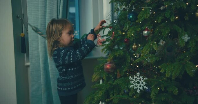 A little preschooler is decorating the christmas tree at home