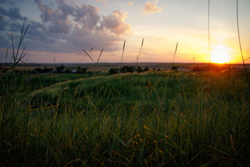 The morning sun and the orange sky. The beam of the sun hitting trees and flowers of grass.