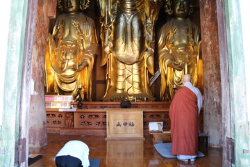 buddha in temple