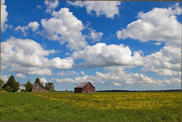 Farm Scene