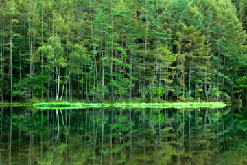 森の緑色を映す御射鹿池
