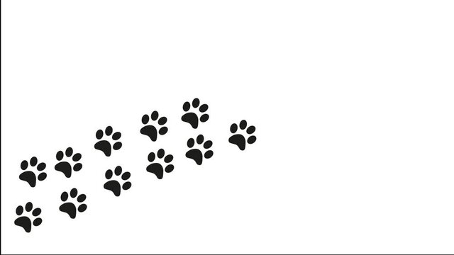 Paw prints animal feet foot footprints pawprints dog cat