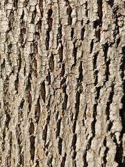 texture