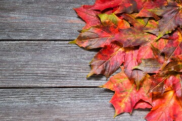 Red maple leaves on a wooden table. Flat lay, top view of autumn decoration. copy space.