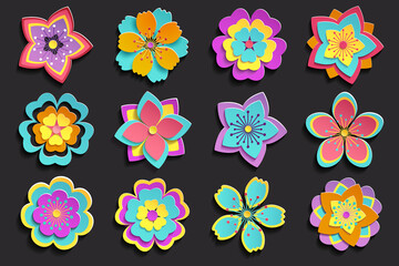 Set of colorful 3d flowers sakura