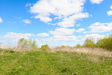 Spring landscape with a clearing and clouds on a Sunny day