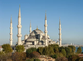 Wandcirkels aluminium Blue Mosque in Istanbul in Turkey © Fyle
