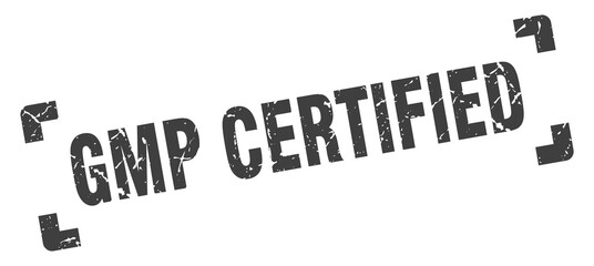 Fototapeta premium gmp certified stamp. square grunge sign isolated on white background
