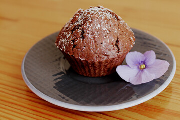 Chocolate muffin on a plate. Cupcake with cocoa.