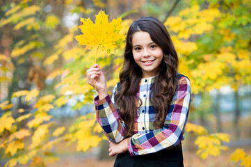 smiling child with yellow maple leaves, fall time