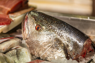 Fisch auf dem Markt