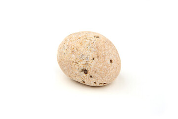 Sea smooth oval pebble isolated on white background. Round pebble stone from Baltic sea beach.