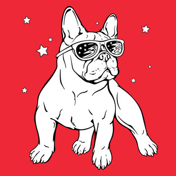 Cartoon french bulldog illustration. Cool dog poster. Stylish image for printing on any surface