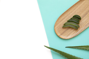 Fresh leaves and slices of aloe vera on a tropical background.