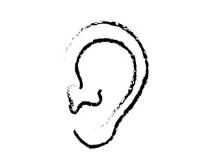 Ear on a white background. Sketch. Vector illustration.