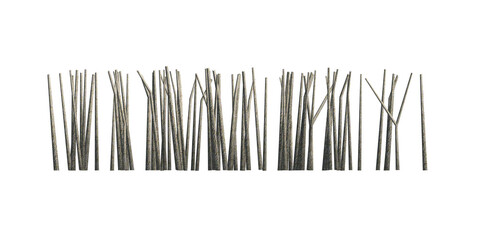 3d Tree trunk on white background