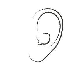 Ear on a white background. Sketch. Vector illustration.
