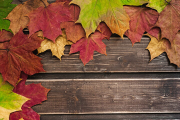 Naklejka na ściany i meble autumn background with colored leaves on a dark wooden background