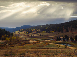 Colorado fall colors on a fall morning