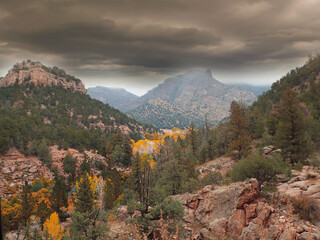 Shelf Road Cripple Creek Colorado in fall