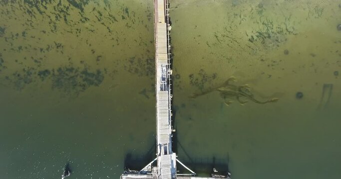 Aerial view. Dragon, monster of prehistoric era, floats underwater along coast river, Ness Monster