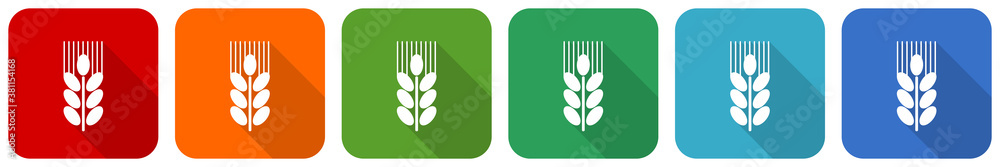 Aufkleber grain icon set, flat design vector illustration in 6 colors options for webdesign and mobile applica
