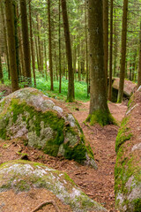 nature reserve in the Bavarian Forest