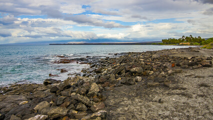 Beautiful palms on the shore. Large boulder among the waves in the sea. Hawaii