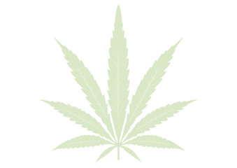 cannabis leaf isolated on white background