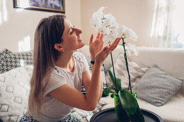 Woman smelling orchid in pot on table in living room. Housewife taking care of home plants and...