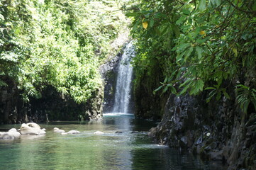 waterfall in the woods