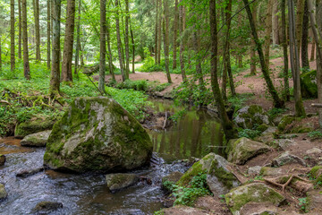 Naklejka na ściany i meble nature reserve in the Bavarian Forest