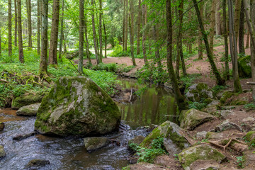 Fototapeta premium nature reserve in the Bavarian Forest