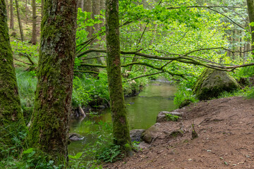 nature reserve in the Bavarian Forest