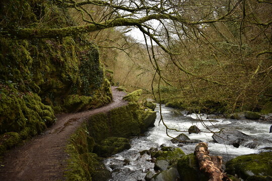 Path along East Lynn river, Watersmeet, Exmoor, England 