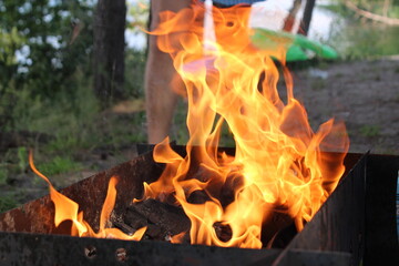 fire in the fireplace