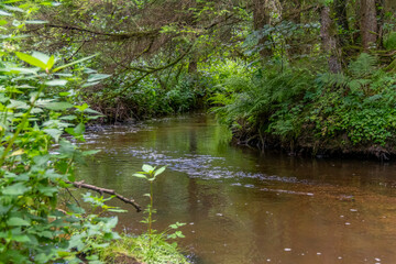 nature reserve in the Bavarian Forest