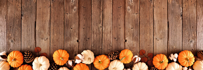 Autumn border of orange and white pumpkins with fall decor. Top view on a rustic dark wood banner...