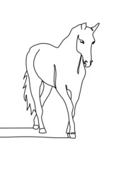 drawing line,  horse running and walking