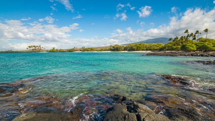Beautiful palms on the shore. Large boulder among the waves in the sea. Hawaii