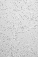 Light grey decorative plaster texture bark beetle.